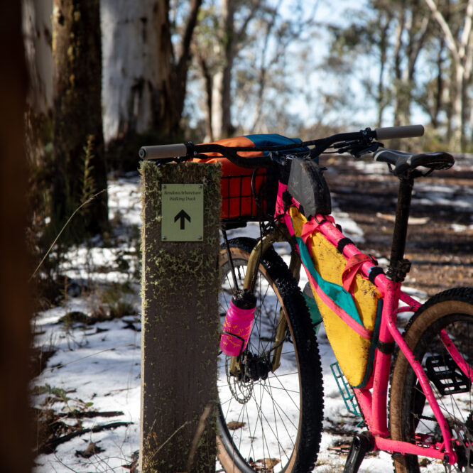 Cycling the walking trail to Bendora hut